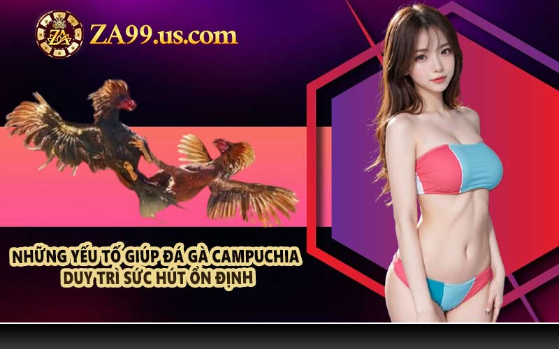Những yếu tố giúp đá gà Campuchia duy trì sức hút ổn định