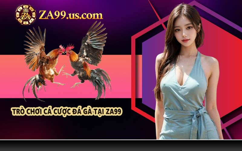 Trò chơi cá cược đá gà tại ZA99